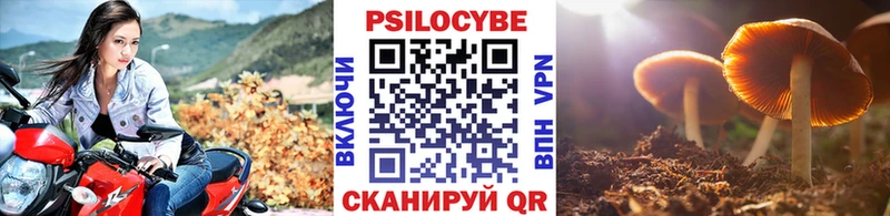 Галлюциногенные грибы прущие грибы  даркнет сайт  Сосновый Бор 